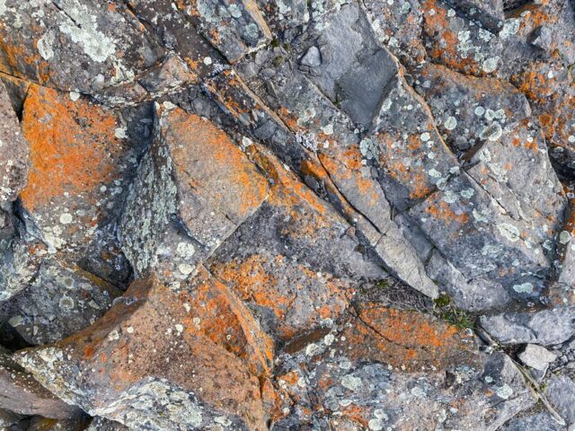 Mineral Drilling